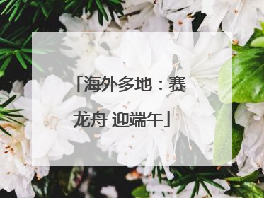 海外多地：赛龙舟 迎端午