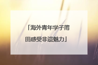 海外青年学子莆田感受非遗魅力