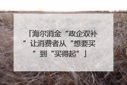 海尔消金“政企双补”让消费者从“想要买”到“买得起”