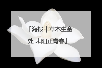 海报｜草木生金处 耒阳正青春