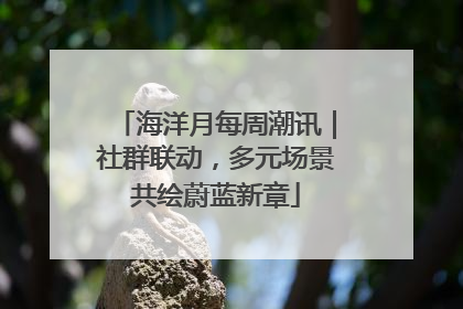 海洋月每周潮讯｜社群联动，多元场景共绘蔚蓝新章