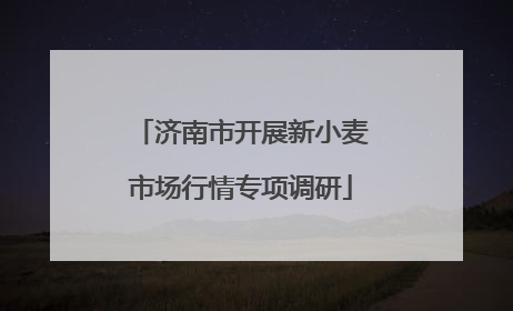济南市开展新小麦市场行情专项调研