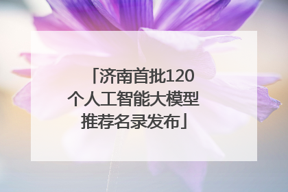 济南首批120个人工智能大模型推荐名录发布