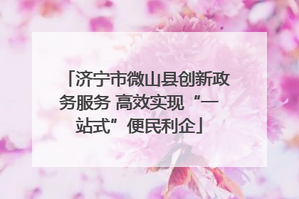 济宁市微山县创新政务服务 高效实现“一站式”便民利企