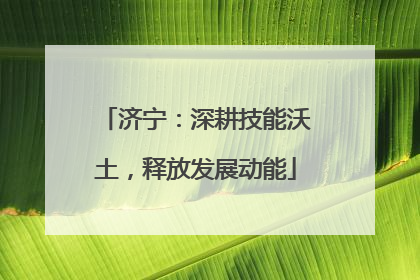 济宁：深耕技能沃土，释放发展动能