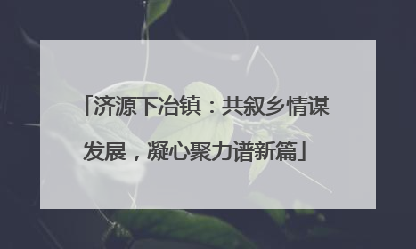 济源下冶镇：共叙乡情谋发展，凝心聚力谱新篇