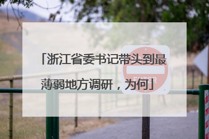 浙江省委书记带头到最薄弱地方调研，为何