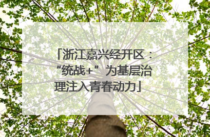 浙江嘉兴经开区：“统战+”为基层治理注入青春动力