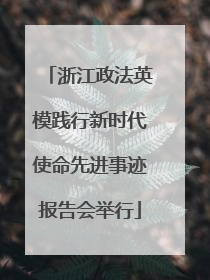 浙江政法英模践行新时代使命先进事迹报告会举行