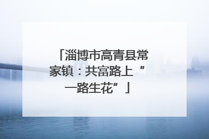 淄博市高青县常家镇：共富路上“一路生花”