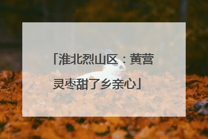 淮北烈山区：黄营灵枣甜了乡亲心