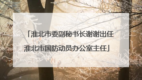 淮北市委副秘书长谢谢出任淮北市国防动员办公室主任