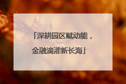 深耕园区赋动能，金融滴灌新长海