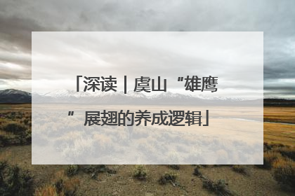 深读｜虞山“雄鹰”展翅的养成逻辑