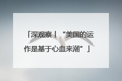 深观察丨“美国的运作是基于心血来潮”