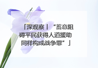 深观察丨“蓄意阻碍平民获得人道援助同样构成战争罪”