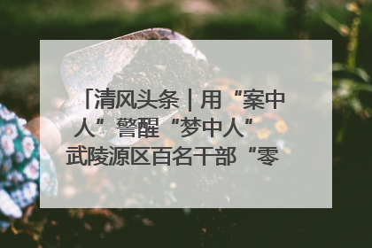 清风头条｜用“案中人”警醒“梦中人” 武陵源区百名干部“零距离”接受警示教育