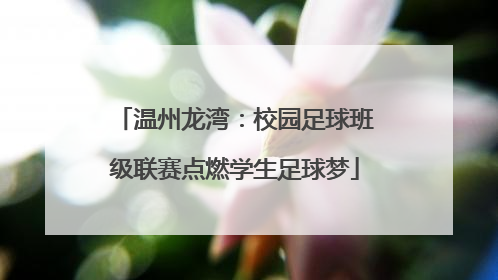 温州龙湾：校园足球班级联赛点燃学生足球梦