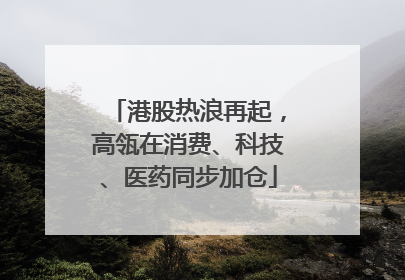 港股热浪再起，高瓴在消费、科技、医药同步加仓