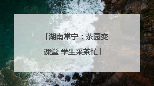 湖南常宁：茶园变课堂 学生采茶忙
