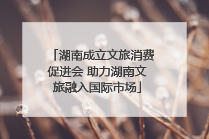 湖南成立文旅消费促进会 助力湖南文旅融入国际市场