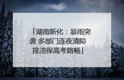 湖南新化：暴雨突袭 多部门连夜清障排涝保高考路畅