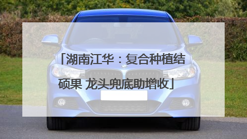 湖南江华：复合种植结硕果 龙头兜底助增收