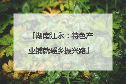 湖南江永：特色产业铺就瑶乡振兴路