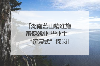 湖南蓝山精准施策促就业 毕业生“沉浸式”探岗