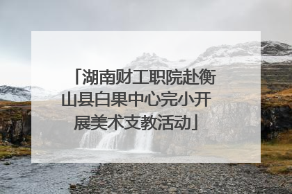 湖南财工职院赴衡山县白果中心完小开展美术支教活动