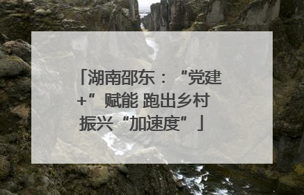 湖南邵东：“党建+”赋能 跑出乡村振兴“加速度”