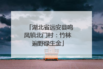 湖北省远安县鸣凤镇北门村：竹林遍野绿生金