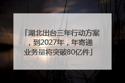 湖北出台三年行动方案，到2027年，年寄递业务量将突破80亿件