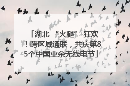 湖北 “火腿” 狂欢!跨区域通联,共庆第85个中国业余无线电节