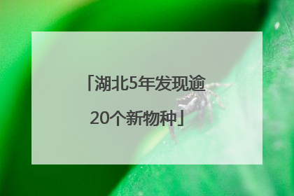 湖北5年发现逾20个新物种