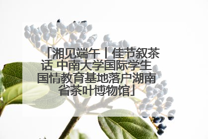 湘见端午丨佳节叙茶话 中南大学国际学生国情教育基地落户湖南省茶叶博物馆