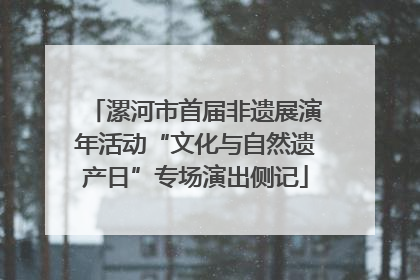 漯河市首届非遗展演年活动“文化与自然遗产日”专场演出侧记