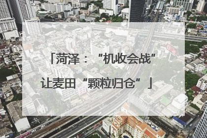 菏泽：“机收会战”让麦田“颗粒归仓”
