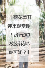 荷花盛开迎来观赏期！济南这12处赏花地你可知？