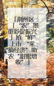 荆州区：「“农”墨重彩促振兴」抢“鲜”上市 “采摘经济”助农“甜蜜增收”