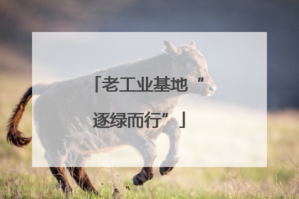 老工业基地“逐绿而行”