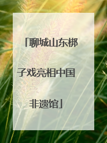 聊城山东梆子戏亮相中国非遗馆