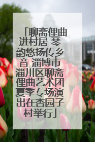 聊斋俚曲进村居 琴韵悠扬传乡音 淄博市淄川区聊斋俚曲艺术团夏季专场演出在杏园子村举行