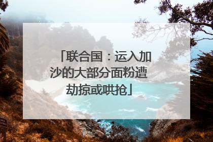 联合国：运入加沙的大部分面粉遭劫掠或哄抢