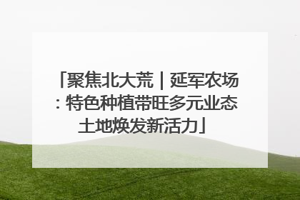 聚焦北大荒｜延军农场：特色种植带旺多元业态 土地焕发新活力