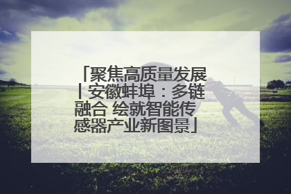 聚焦高质量发展丨安徽蚌埠：多链融合 绘就智能传感器产业新图景