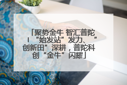 聚势金牛 智汇普陀〡“始发站”发力、“创新田”深耕，普陀科创“金牛”闪耀