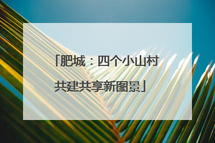 肥城：四个小山村共建共享新图景