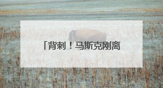 背刺！马斯克刚离开白宫，他好朋友的NASA局长提名就被特朗普撤销：新人选要在太空实现“美国优先”