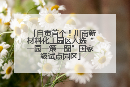 自贡首个！川南新材料化工园区入选“一园一策一图”国家级试点园区
